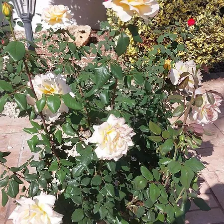 Villa Budget Escape To The Seaside *