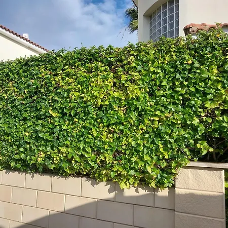 Βίλα Budget Escape To The Seaside