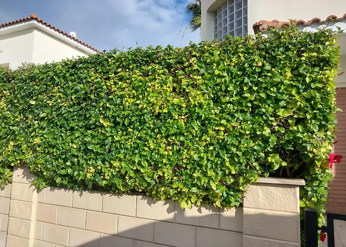 Vila Budget Escape To The Seaside