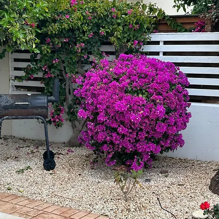 Budget Escape To The Seaside * Larnaca